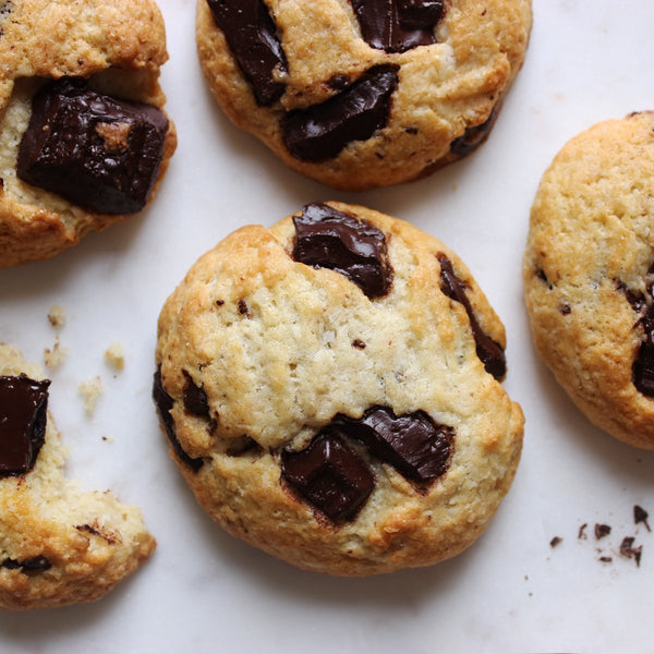 Chocolate Chip Coconut Cookies Recipe | EasiYo NZ